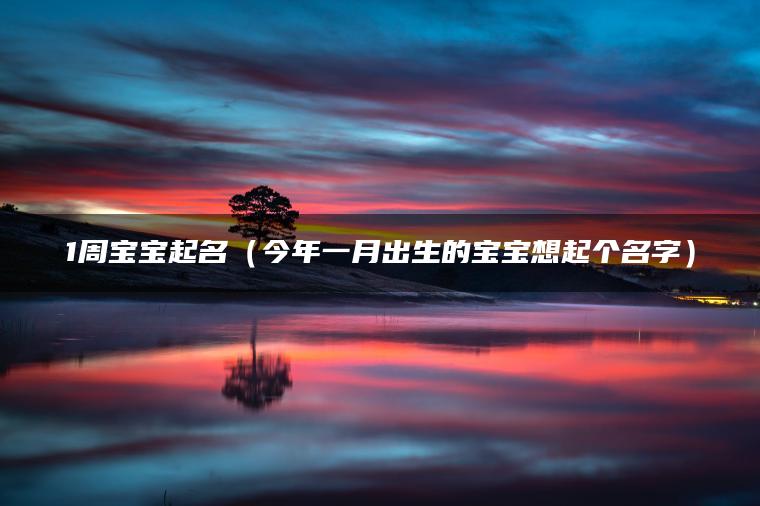 1周宝宝起名（今年一月出生的宝宝想起个名字）