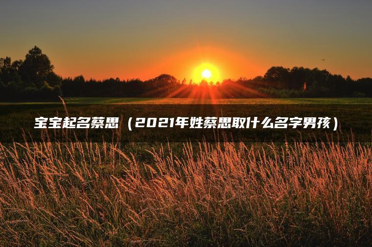 宝宝起名蔡思（2021年姓蔡思取什么名字男孩）