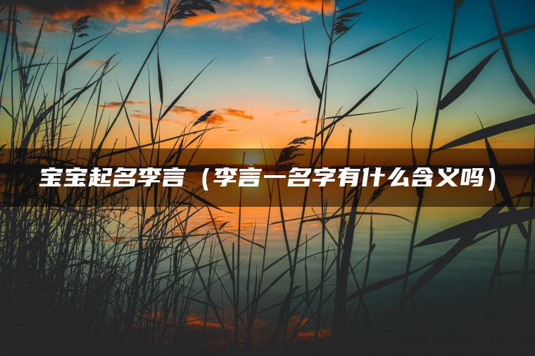 宝宝起名李言（李言一名字有什么含义吗）