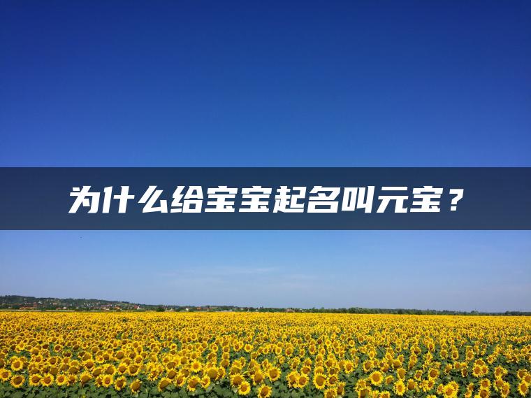 为什么给宝宝起名叫元宝？