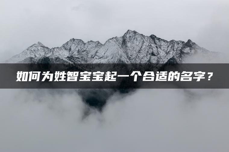 如何为姓智宝宝起一个合适的名字？