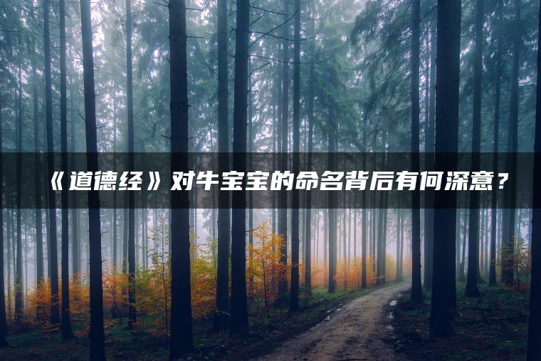 《道德经》对牛宝宝的命名背后有何深意？