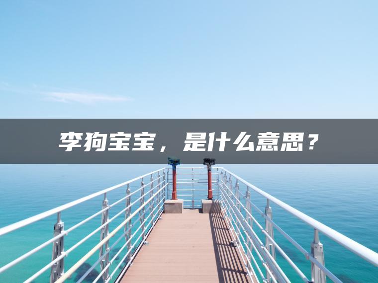 李狗宝宝，是什么意思？