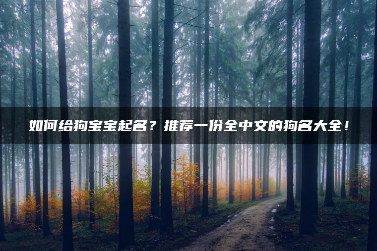 如何给狗宝宝起名？推荐一份全中文的狗名大全！