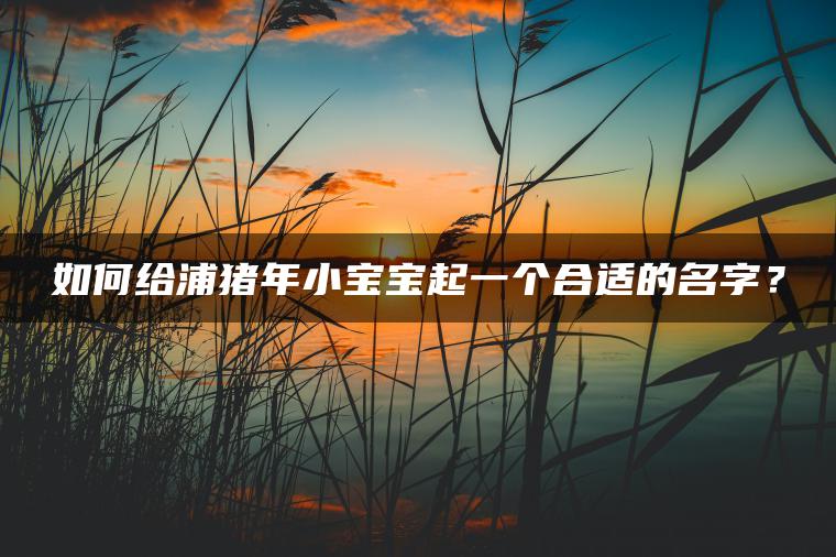 如何给浦猪年小宝宝起一个合适的名字？