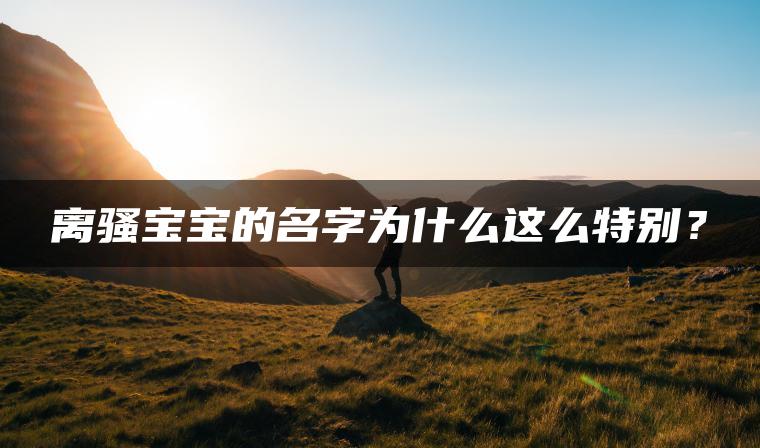 离骚宝宝的名字为什么这么特别？