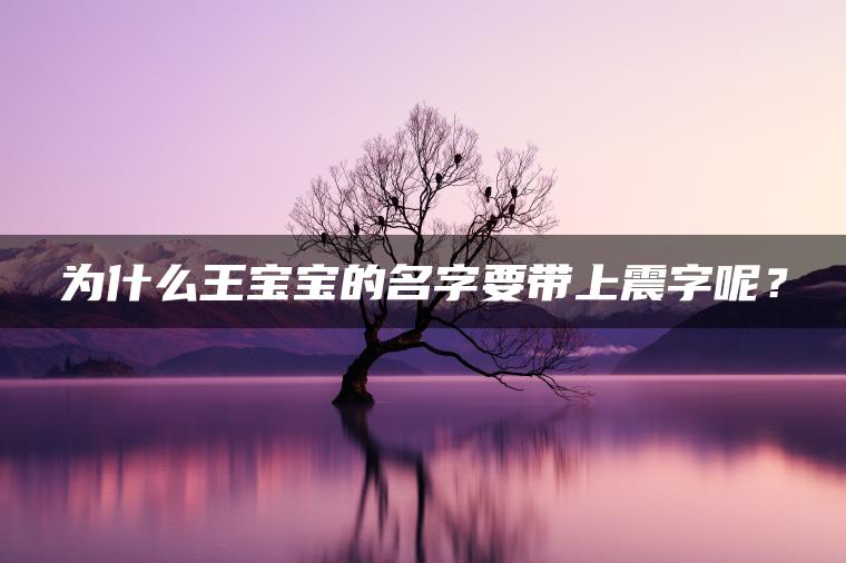 为什么王宝宝的名字要带上震字呢？