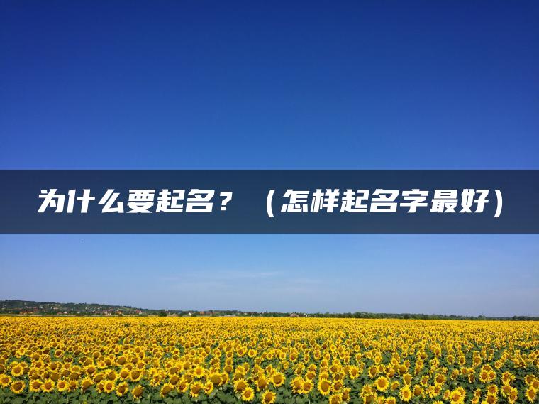 为什么要起名？（怎样起名字最好）