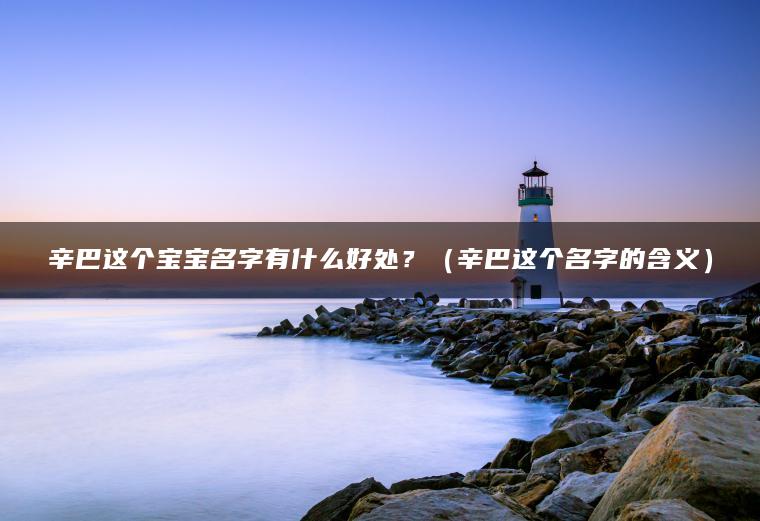 辛巴这个宝宝名字有什么好处？（辛巴这个名字的含义）