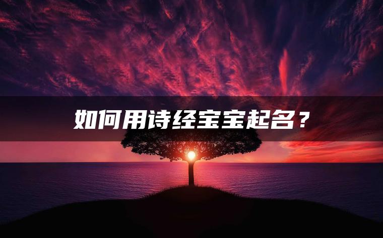 如何用诗经宝宝起名？