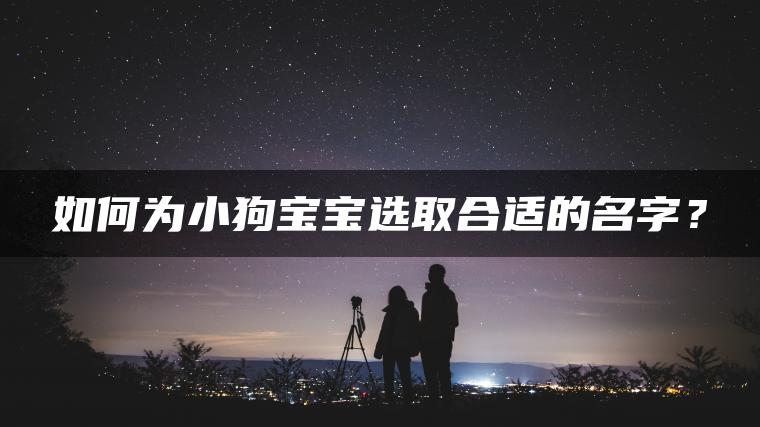 如何为小狗宝宝选取合适的名字？