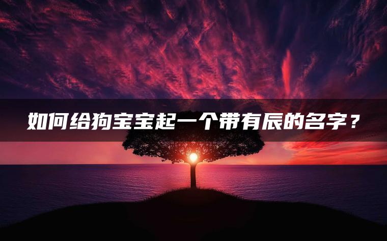 如何给狗宝宝起一个带有辰的名字？