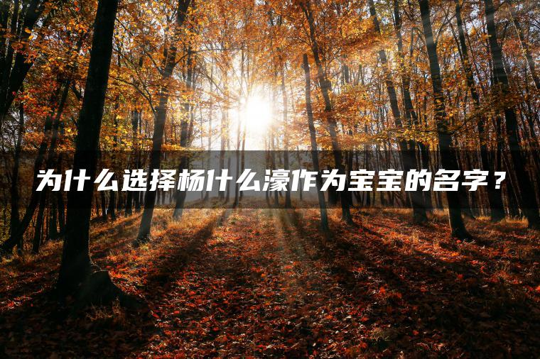 为什么选择杨什么濠作为宝宝的名字？