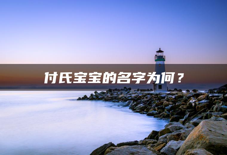 付氏宝宝的名字为何？