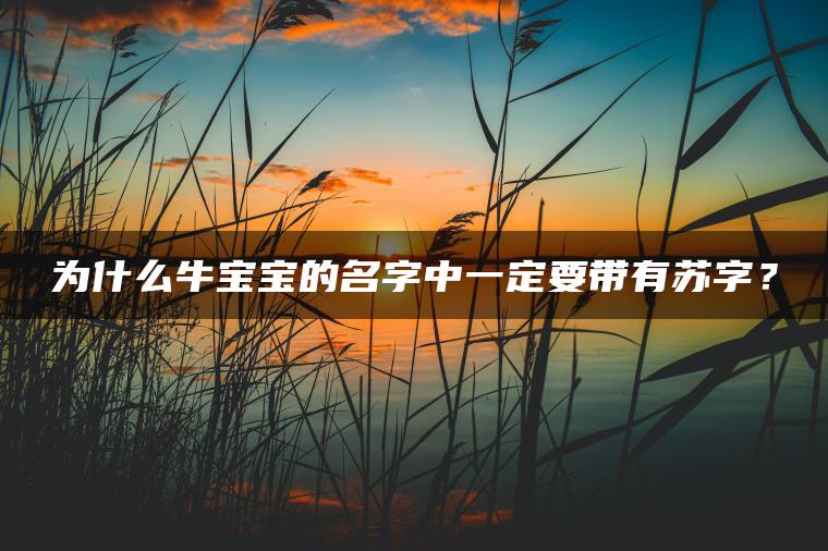 为什么牛宝宝的名字中一定要带有苏字？