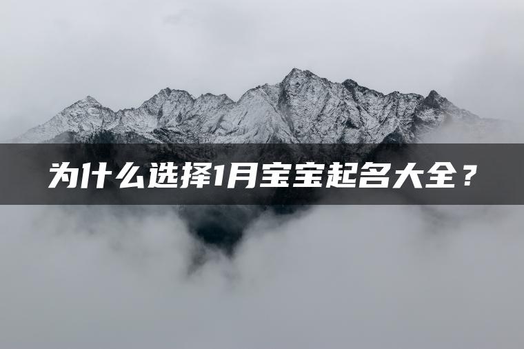 为什么选择1月宝宝起名大全？