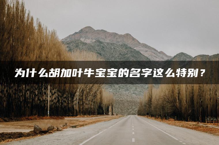 为什么胡加叶牛宝宝的名字这么特别？