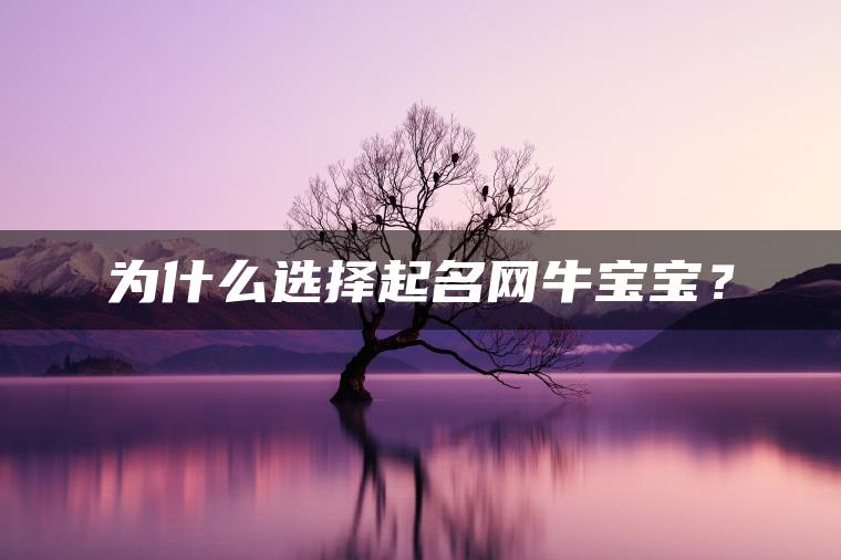 为什么选择起名网牛宝宝？