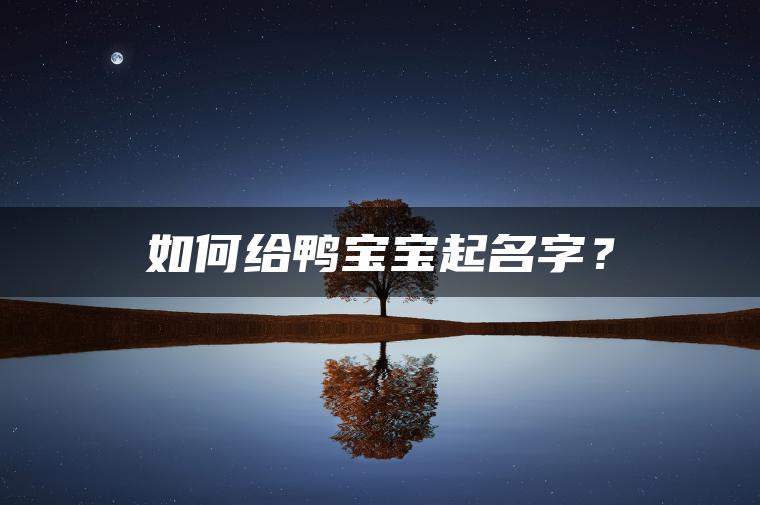 如何给鸭宝宝起名字？