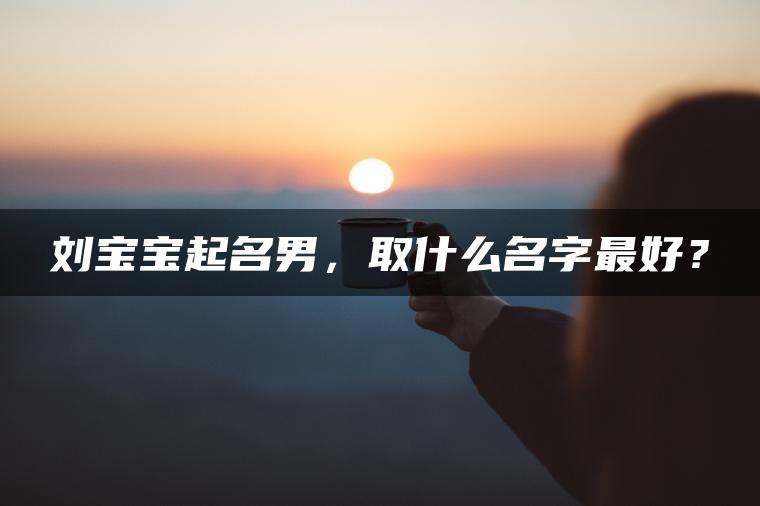 刘宝宝起名男，取什么名字最好？