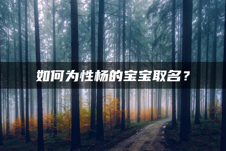 如何为性杨的宝宝取名？