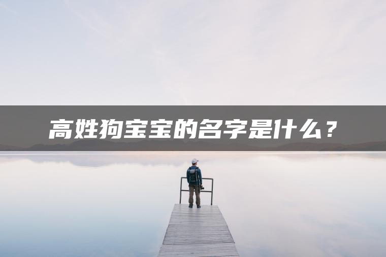 高姓狗宝宝的名字是什么？