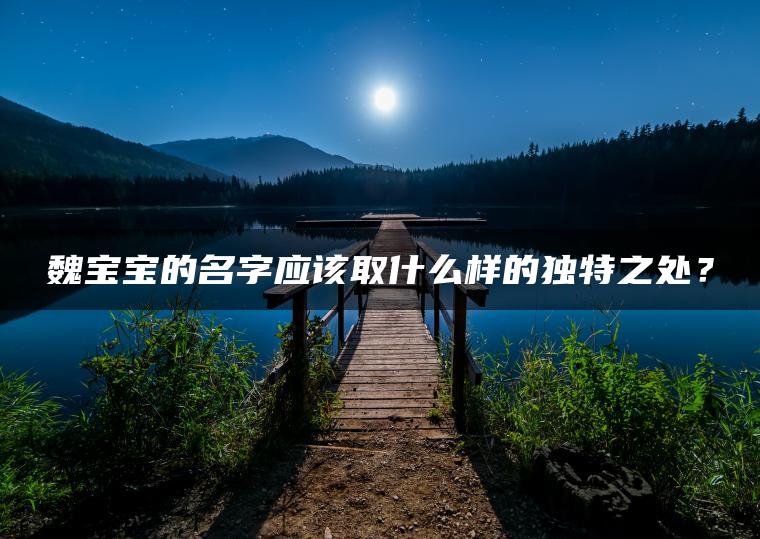 魏宝宝的名字应该取什么样的独特之处？