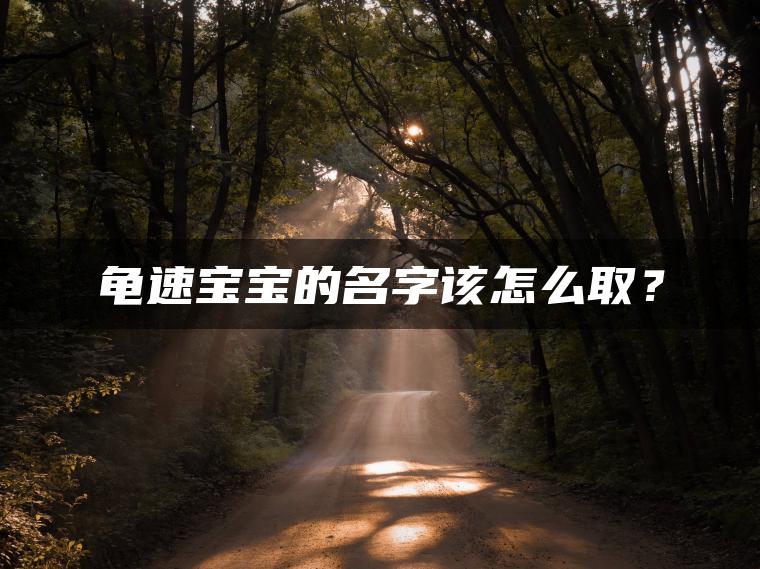 龟速宝宝的名字该怎么取？