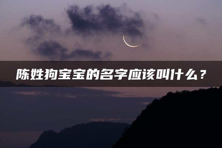 陈姓狗宝宝的名字应该叫什么？