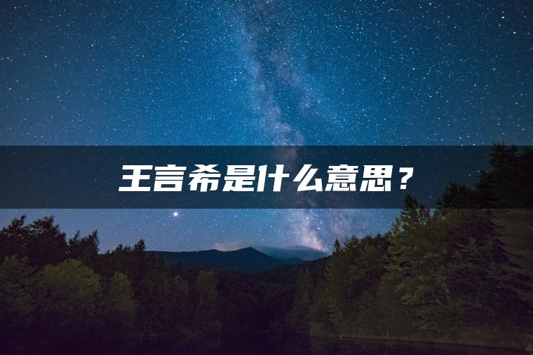 王言希是什么意思？