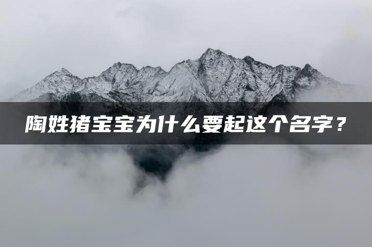 陶姓猪宝宝为什么要起这个名字？