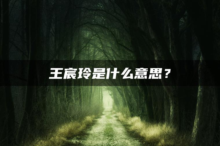 王宸玲是什么意思？