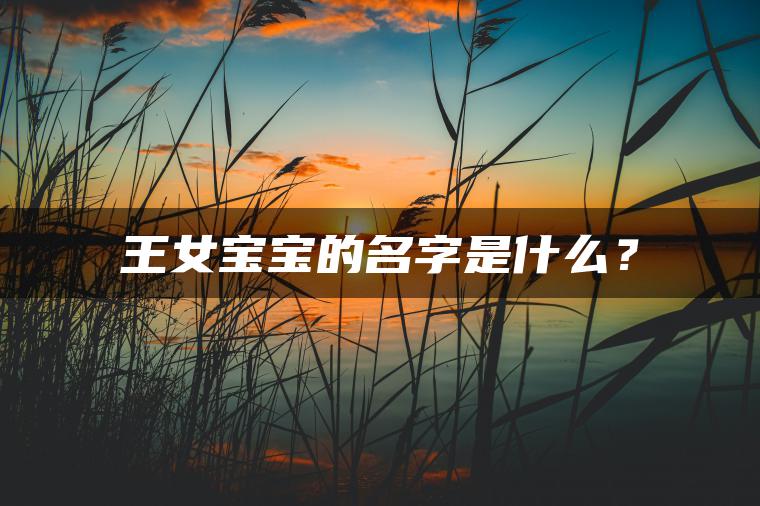 王女宝宝的名字是什么？