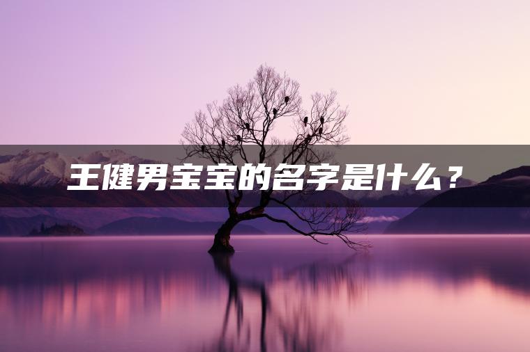 王健男宝宝的名字是什么？