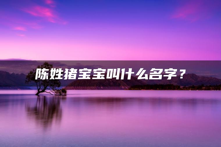 陈姓猪宝宝叫什么名字？