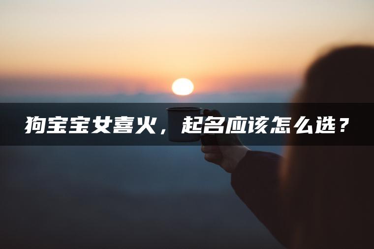 狗宝宝女喜火，起名应该怎么选？