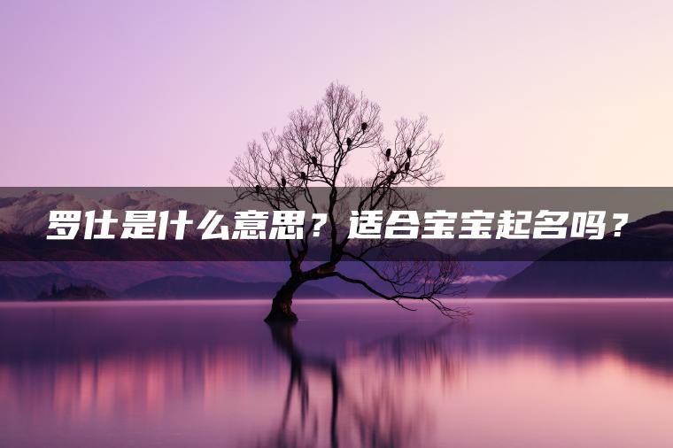 罗仕是什么意思？适合宝宝起名吗？