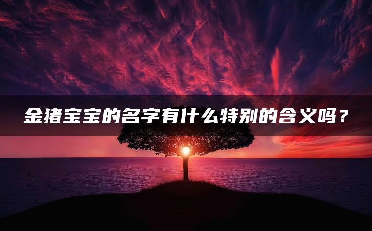 金猪宝宝的名字有什么特别的含义吗？