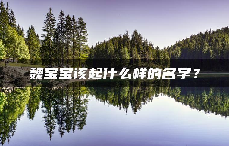 魏宝宝该起什么样的名字？