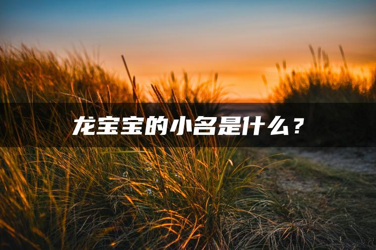 龙宝宝的小名是什么？