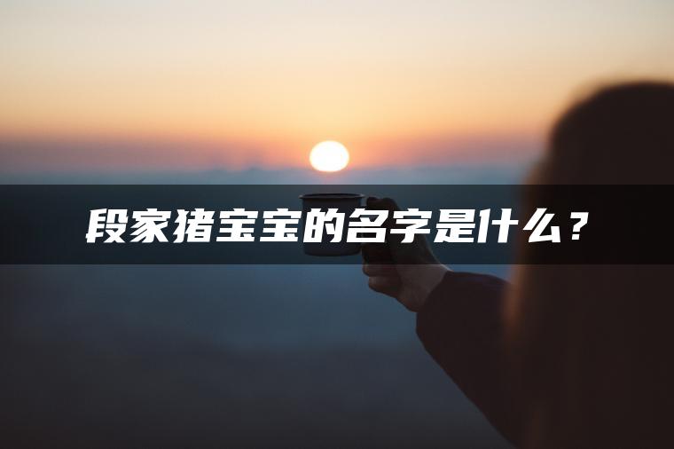 段家猪宝宝的名字是什么？