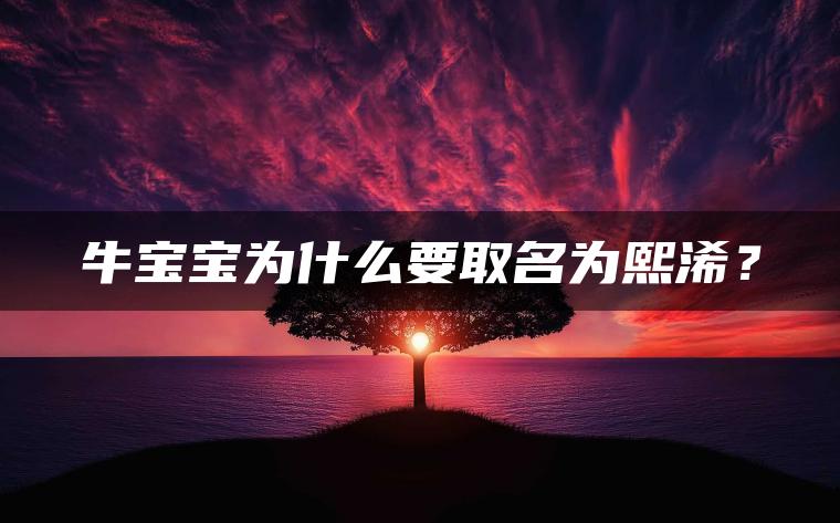 牛宝宝为什么要取名为熙浠？