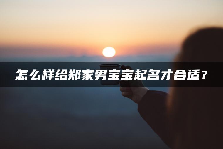 怎么样给郑家男宝宝起名才合适？