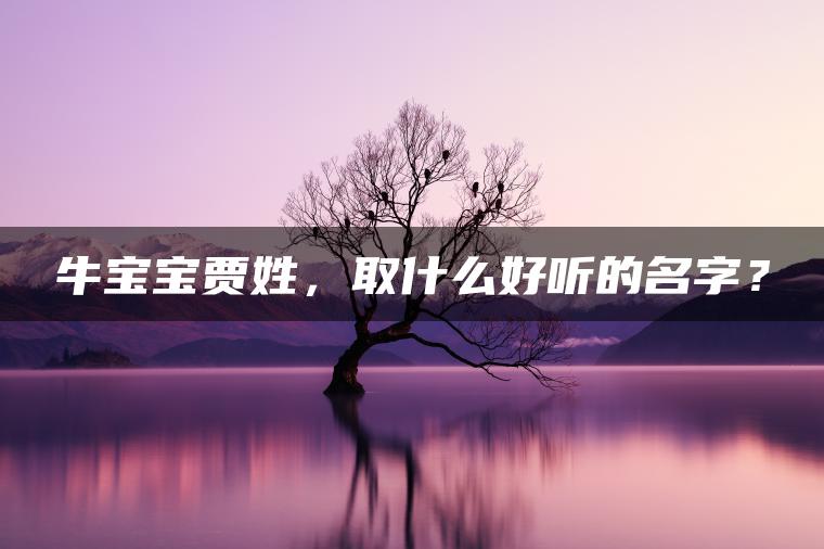 牛宝宝贾姓，取什么好听的名字？