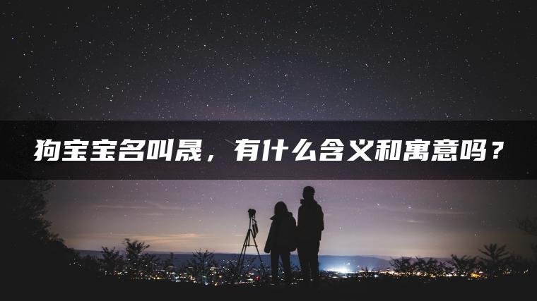 狗宝宝名叫晟，有什么含义和寓意吗？