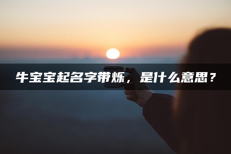 牛宝宝起名字带烁，是什么意思？