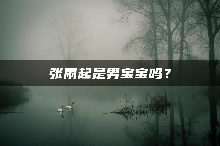 张雨起是男宝宝吗？