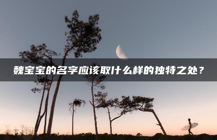 魏宝宝的名字应该取什么样的独特之处？