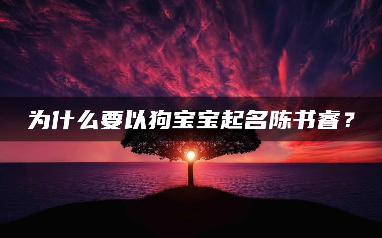 为什么要以狗宝宝起名陈书睿？