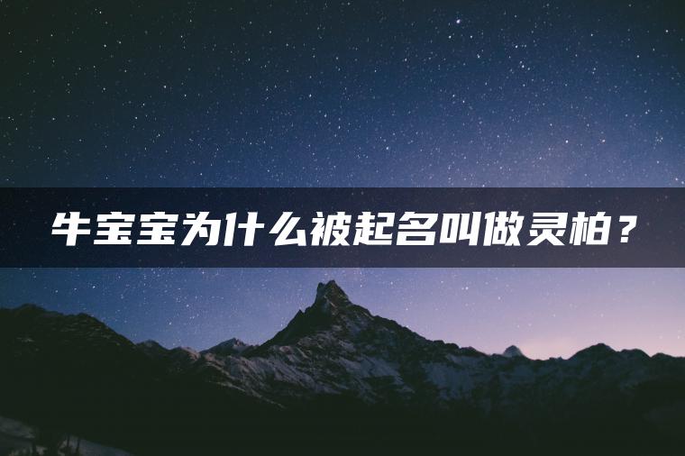 牛宝宝为什么被起名叫做灵柏？